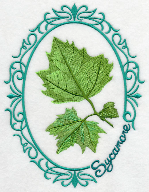 Leaf Cameo - Sycamore - Image 2