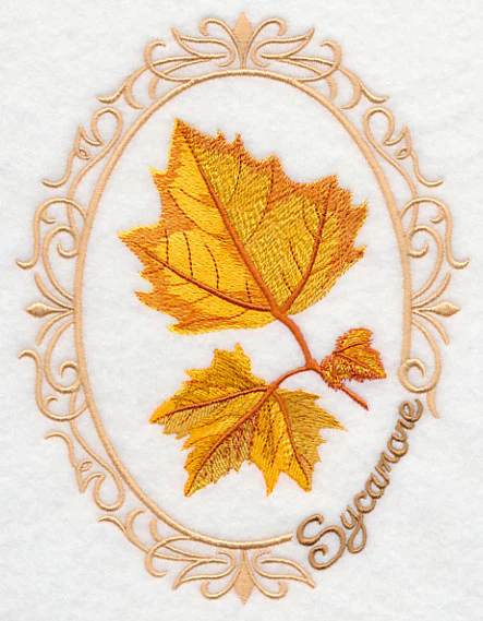 Leaf Cameo - Sycamore - Image 3
