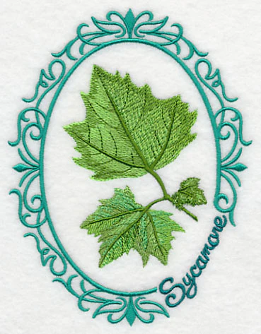 Leaf Cameo - Sycamore - Image 6