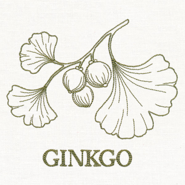 Leafy Botanicals - Ginkgo - Image 4