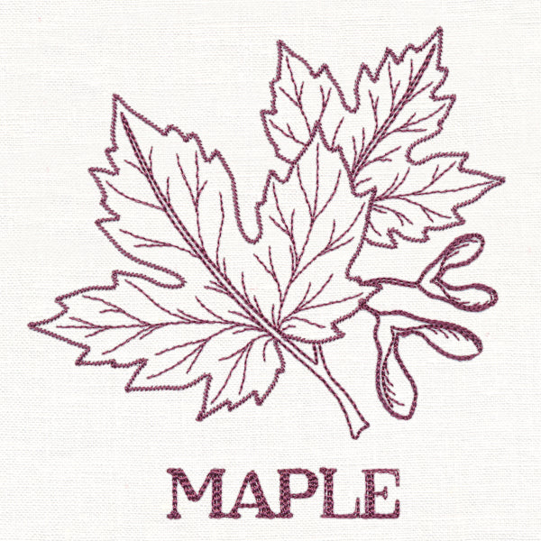 Leafy Botanicals - Maple - Image 2