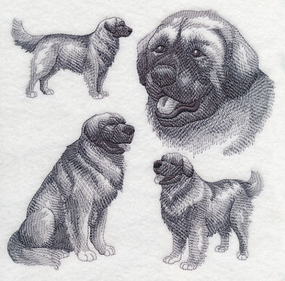 Leonberger Sketch - Image 5