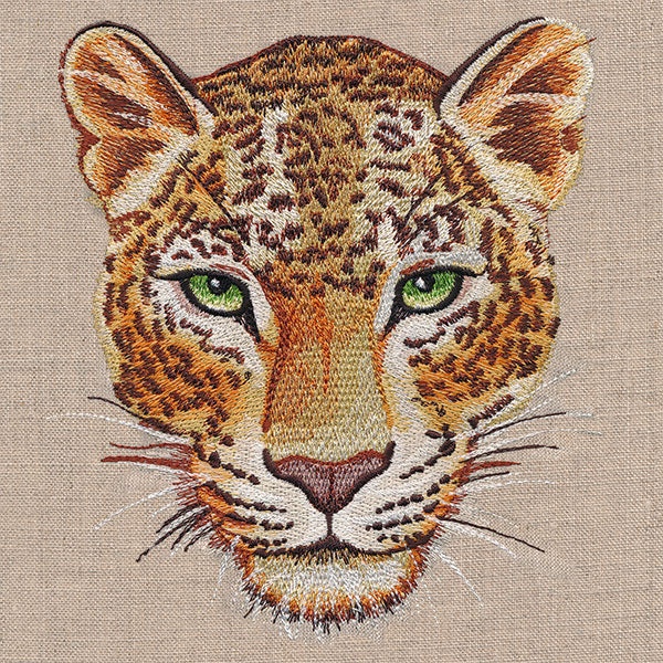 Leopard Portrait - Image 2