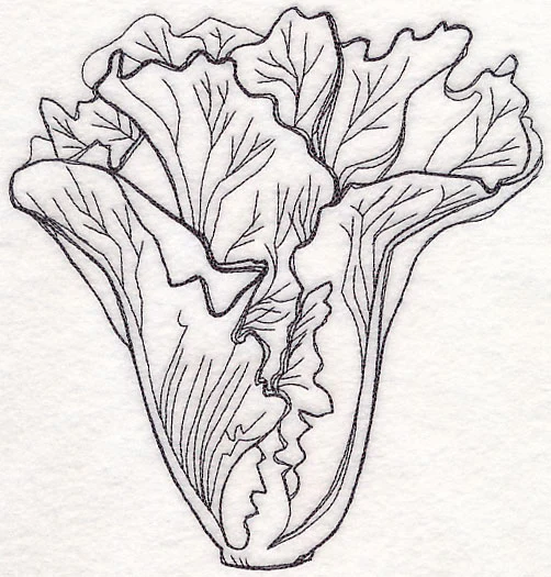Lettuce Etching