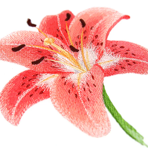 Lily in Bloom - Image 4