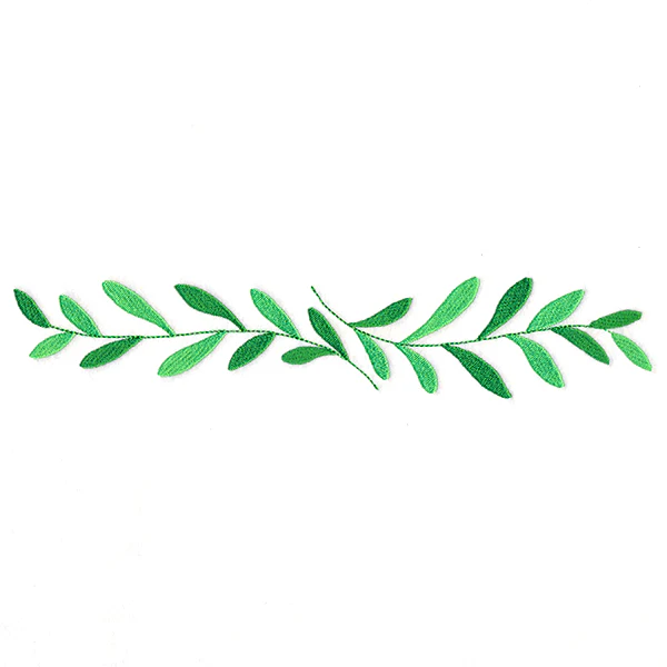 Lively Botanical Border