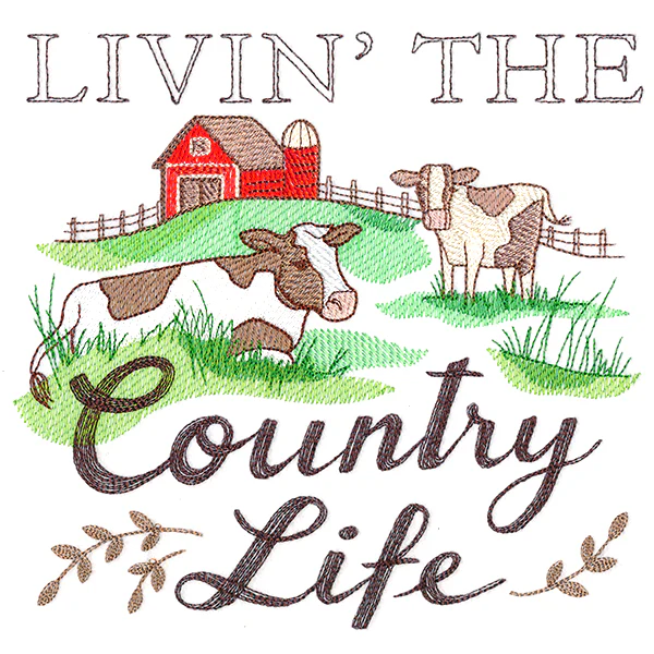 Livin' The Country Life Medley - Image 2