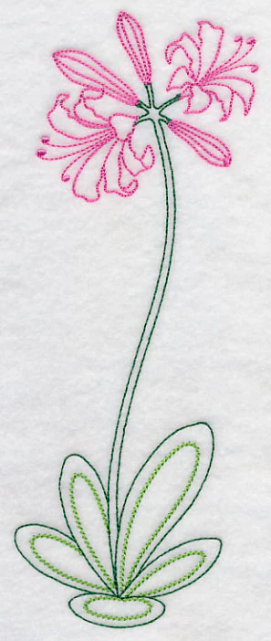Long Stemmed Nerine (Vintage) - Image 5