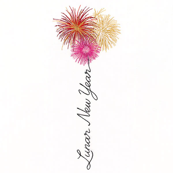 Lunar New Year Fireworks - Image 4