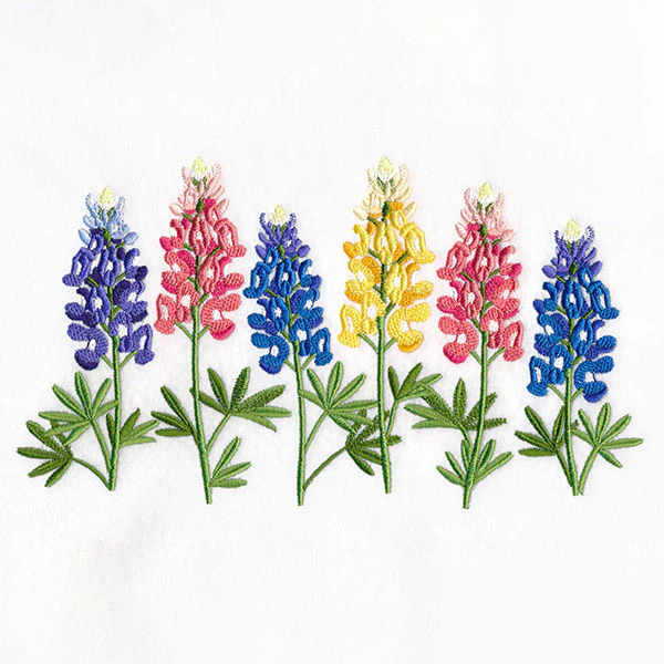Luscious Lupine Border - Image 2