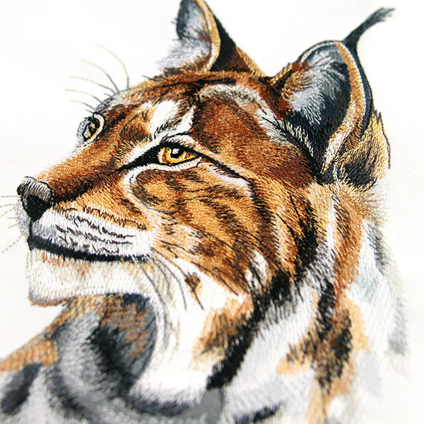 Lynx Portrait - Image 8