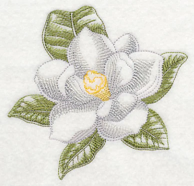 Magnolia Beauty - Image 4