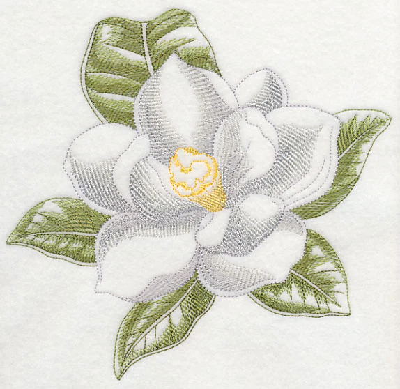 Magnolia Beauty - Image 6
