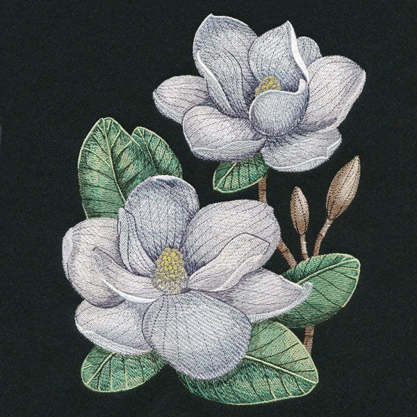 Magnolia Blooms - Image 4