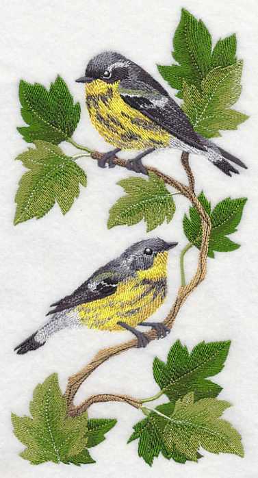 Magnolia Warbler Panel - Image 2