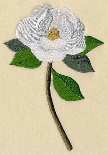 Magnolia with Long Stem - Image 3
