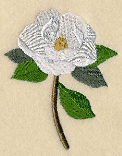 Magnolia with Long Stem - Image 4