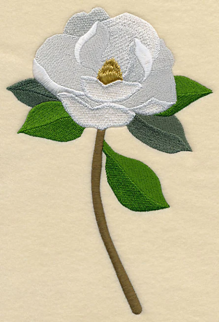 Magnolia with Long Stem - Image 5