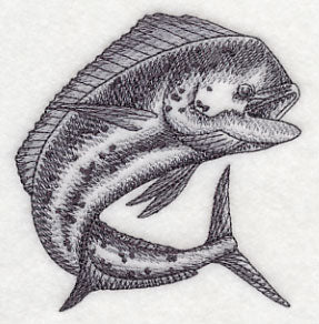 Mahi Mahi Sketch - Image 3