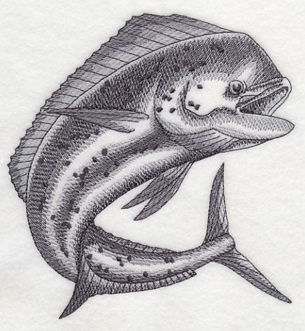 Mahi Mahi Sketch - Image 4