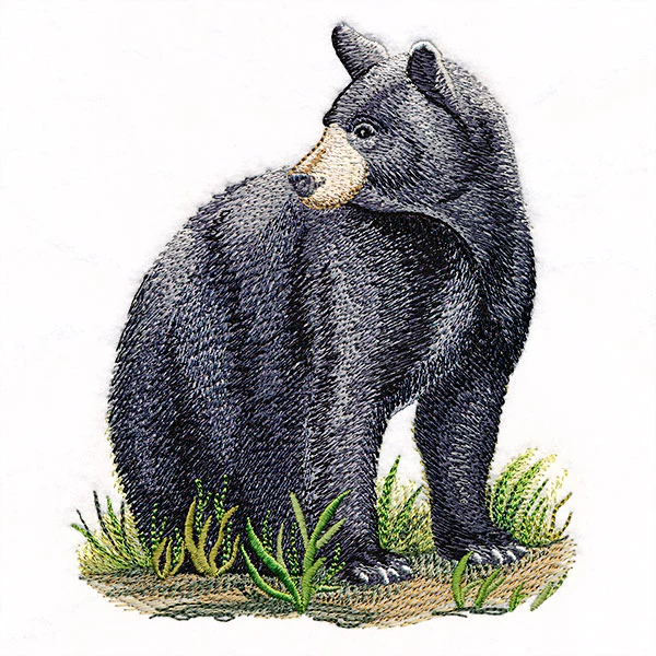 Majestic Black Bear - Image 5