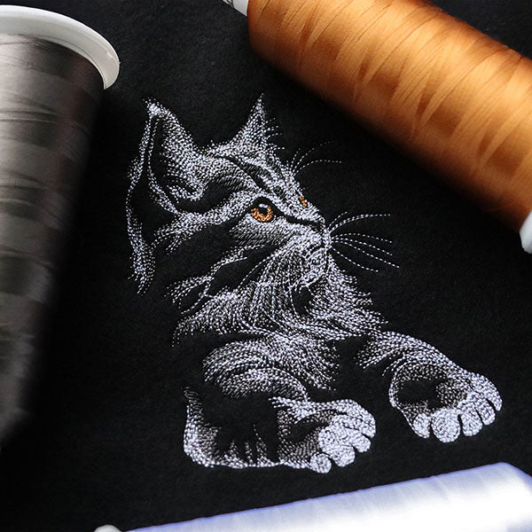 Majestic Gaze Kitten - Image 4
