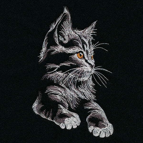 Majestic Gaze Kitten - Image 7