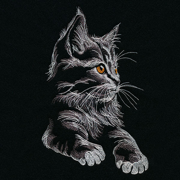 Majestic Gaze Kitten - Image 9