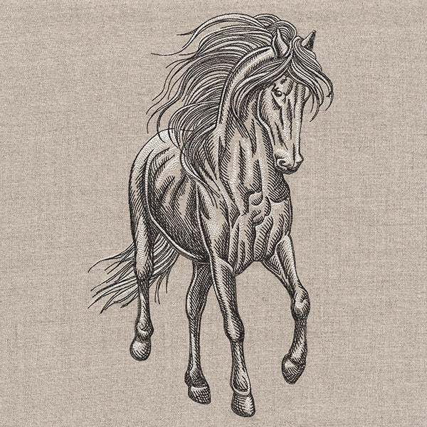 Majestic Stallion