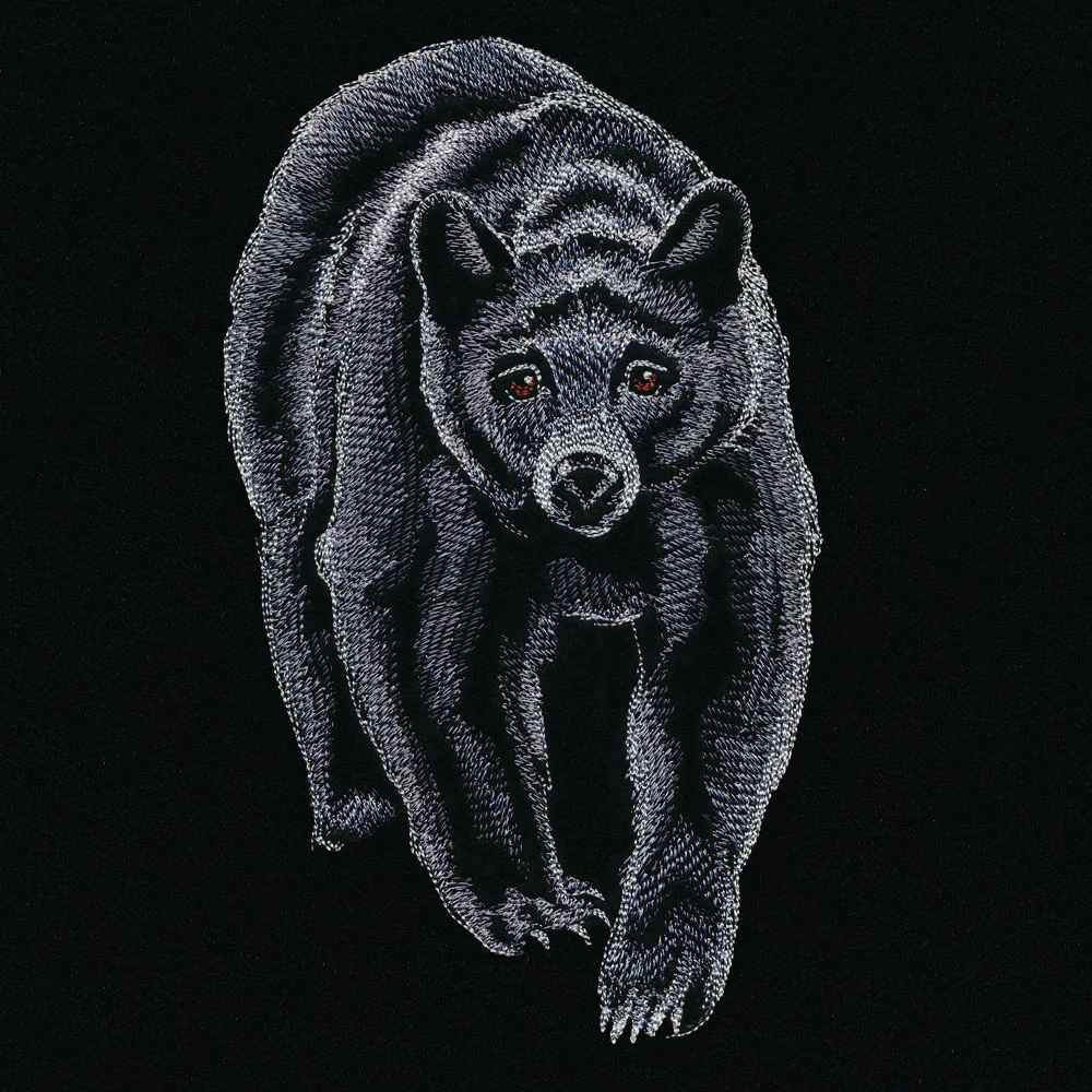 Majestic Walking Black Bear - Image 3