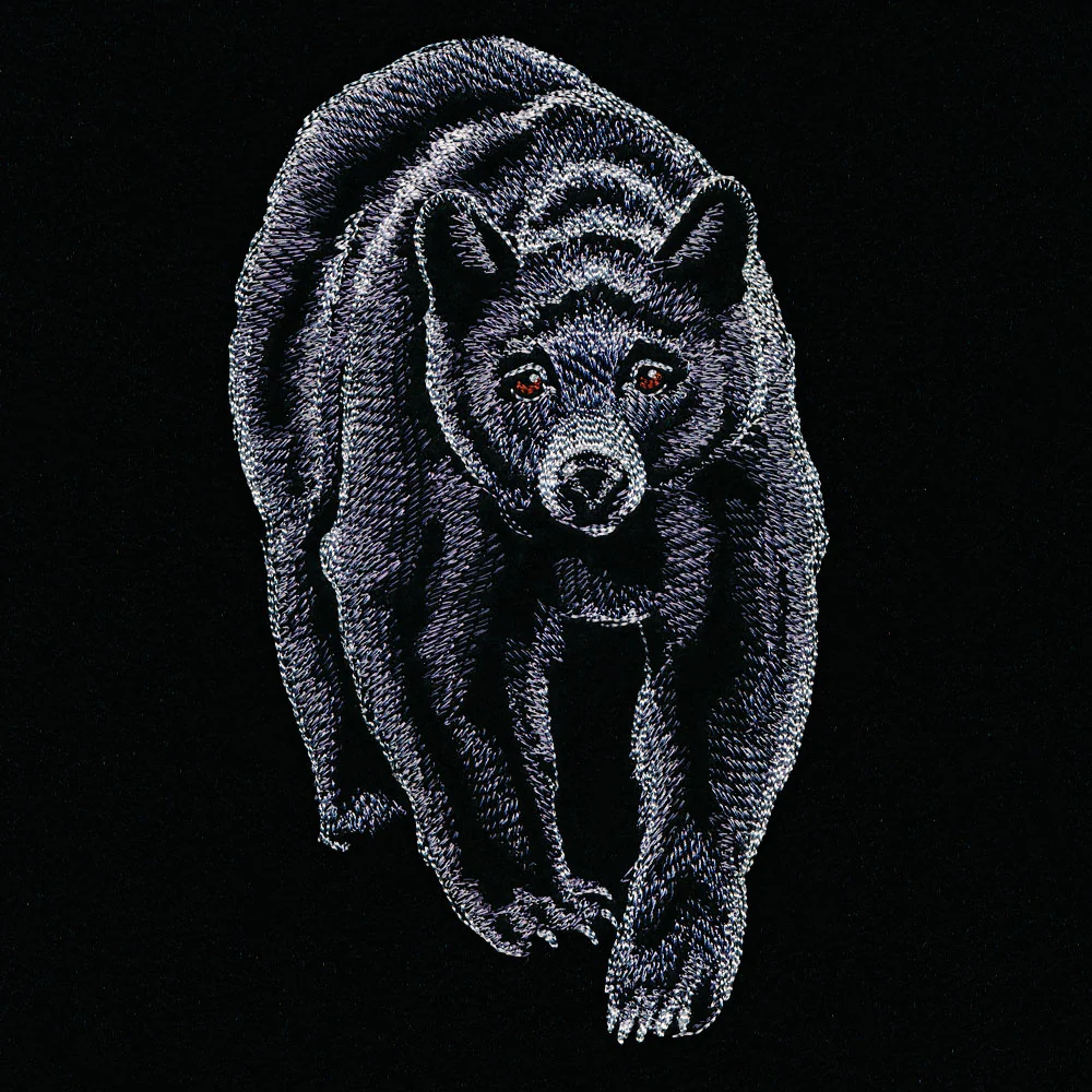 Majestic Walking Black Bear - Image 4