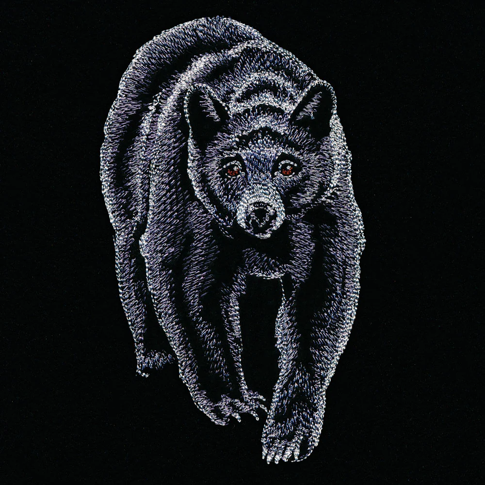 Majestic Walking Black Bear - Image 5