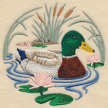 Mallard Duck Scene - Image 5
