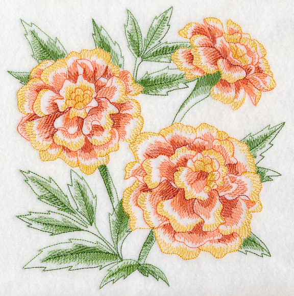 Marigold Sketch - Image 6