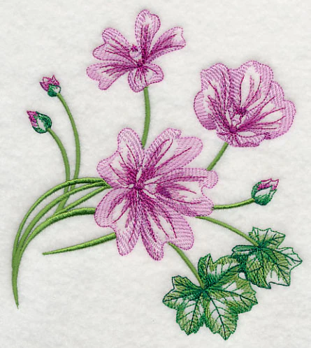 Marvelous Malva 1 - Image 4