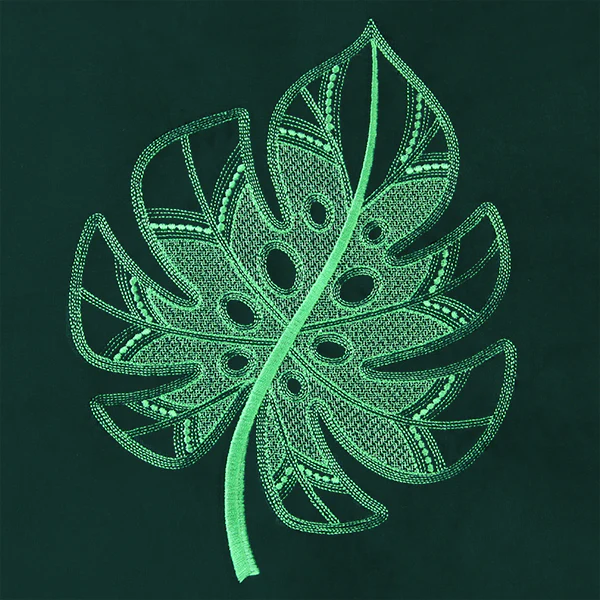 Marvelous Monstera
