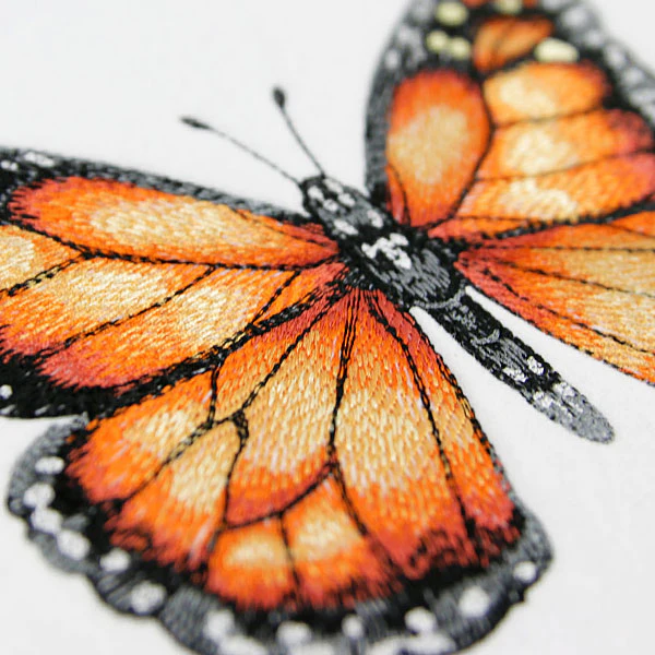 Monarch Specimen - Image 8