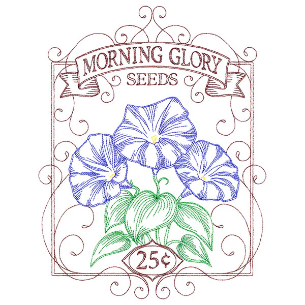 Morning Glory Seed Packet