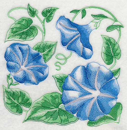 Morning Glory Sketch - Image 2