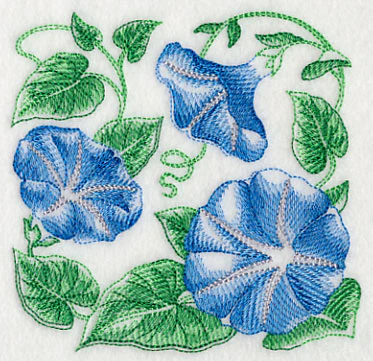Morning Glory Sketch - Image 4