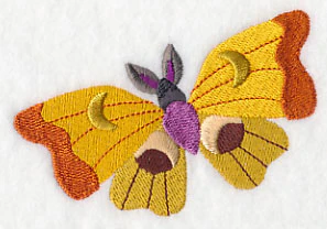 Moth Masquerade 1