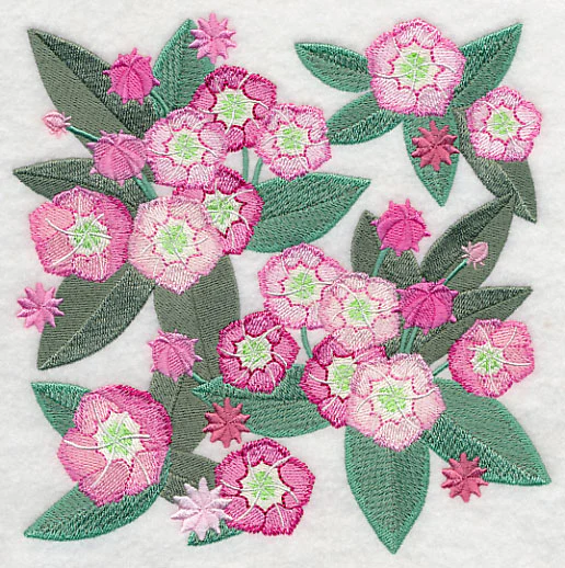 Mountain Laurel Blossoms - Image 3