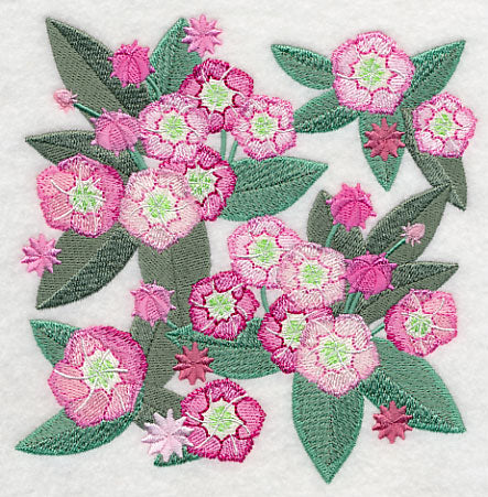 Mountain Laurel Blossoms - Image 4