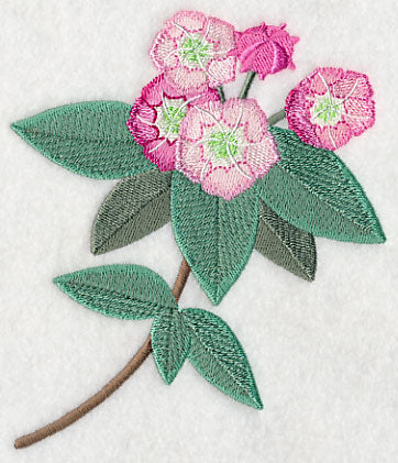 Mountain Laurel with Long Stem - Image 3