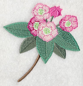 Mountain Laurel with Long Stem - Image 4
