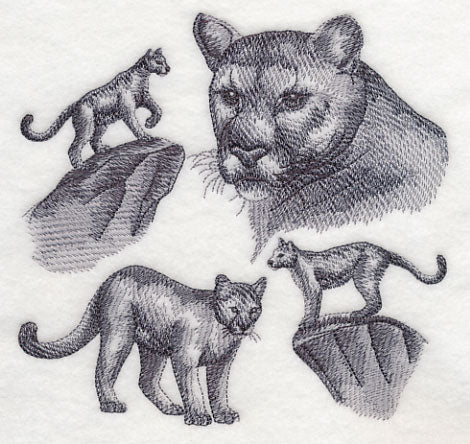 Mountain Lion Sketch - Image 3