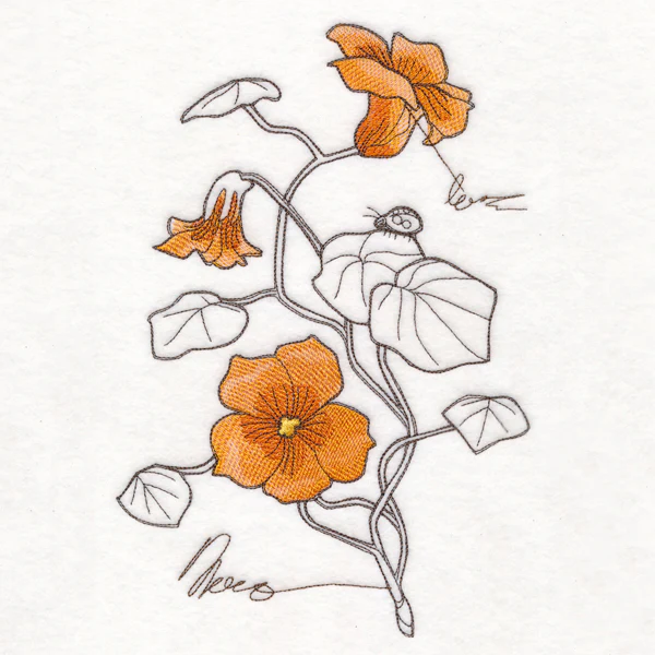 Nasturtium Botanicals - Image 5