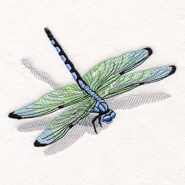 Nature's Simple Dragonfly - Image 8