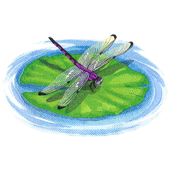Nature's Walk Dragonfly