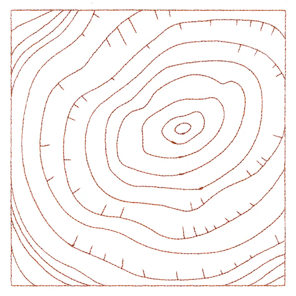 Nature's Wonders - Tree Rings (Double Run) - Image 3